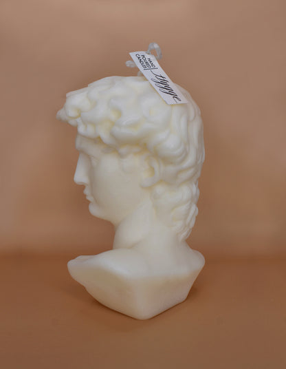 David Aromatic Masterpiece