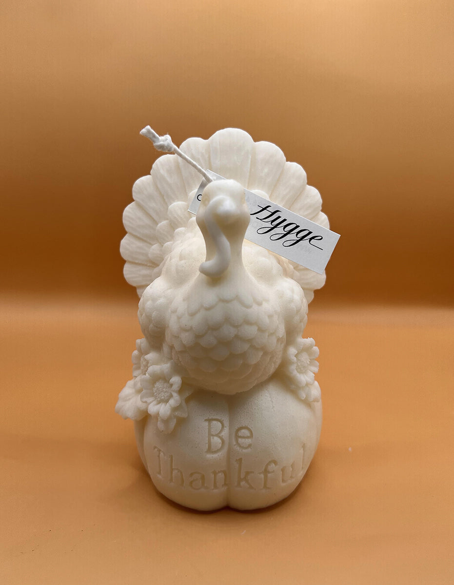 The Thanksgiving Turkey