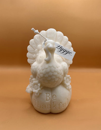 The Thanksgiving Turkey